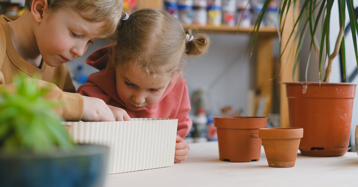 Activités durables pour les enfants : apprendre en s’amusant