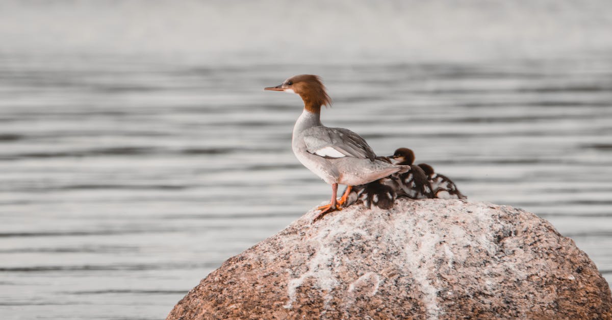 L’importance de la biodiversité dans les méthodes durables