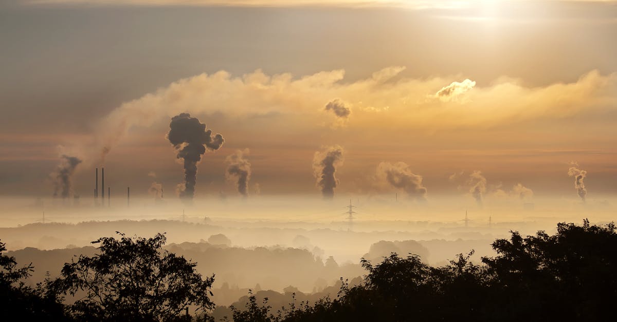 découvrez les causes et conséquences de la pollution de l'air, ainsi que des solutions pour améliorer la qualité de l'air que nous respirons. informez-vous sur les enjeux environnementaux et sanitaires liés à ce problème mondial.