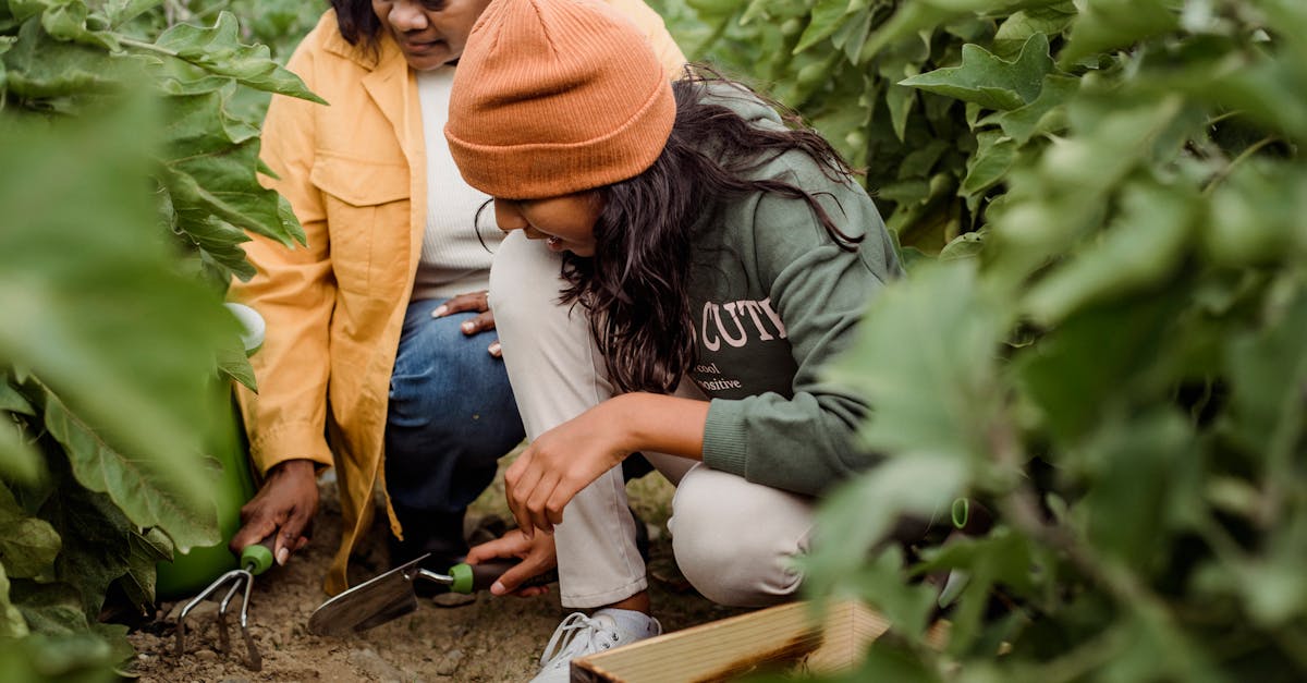 découvrez des pratiques écologiques pour un mode de vie durable. apprenez comment réduire votre impact environnemental grâce à des astuces simples et efficaces, adaptées à votre quotidien.