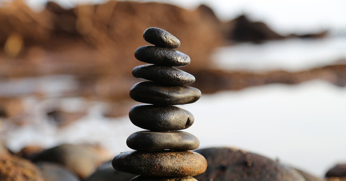 découvrez l'art de la composition paysagère, une technique essentielle pour créer des paysages harmonieux et équilibrés. apprenez à jouer avec les couleurs, les formes et les perspectives pour capturer la beauté de la nature dans vos réalisations.