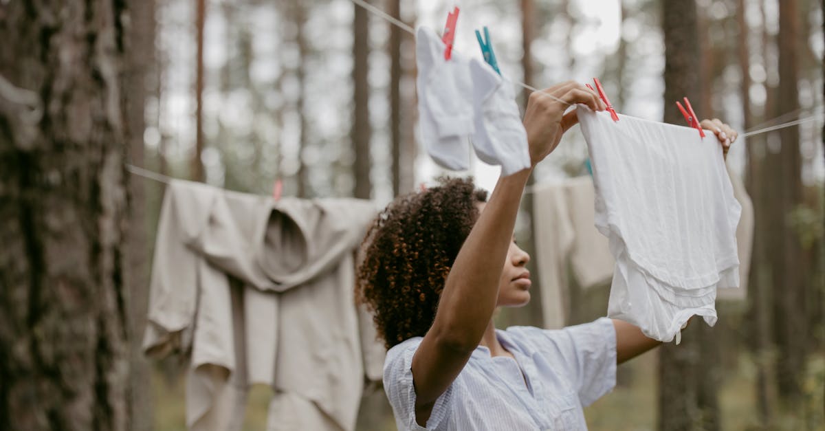 découvrez des activités durables qui allient plaisir et respect de l'environnement. engagez-vous dans des pratiques écoresponsables et contribuez à la préservation de notre planète tout en profitant d'expériences enrichissantes.