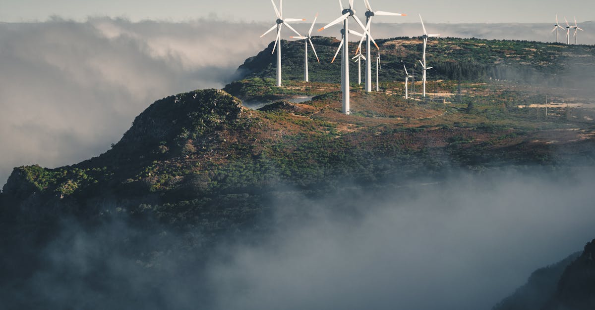 découvrez comment la technologie durable transforme notre avenir en alliant innovation et respect de l'environnement. explorez des solutions écologiques pour un monde plus vert.
