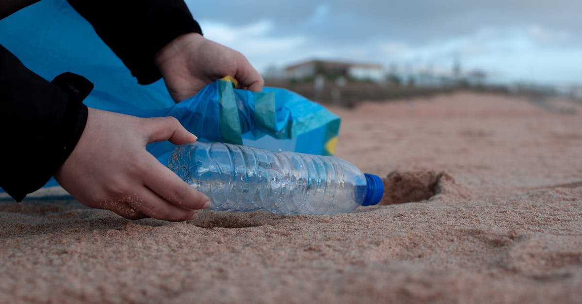 découvrez le mouvement zéro déchet et apprenez à réduire vos déchets au quotidien grâce à des astuces pratiques, des conseils écologiques et des alternatives durables pour un mode de vie respectueux de l'environnement.