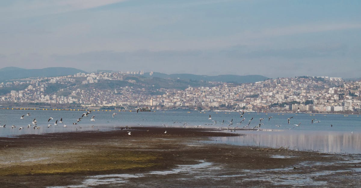 Comment créer un portfolio de photographie de nature