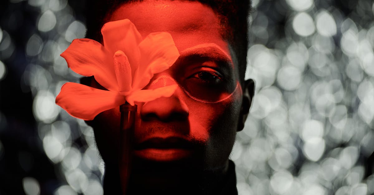 Comment développer son œil photographique pour la nature