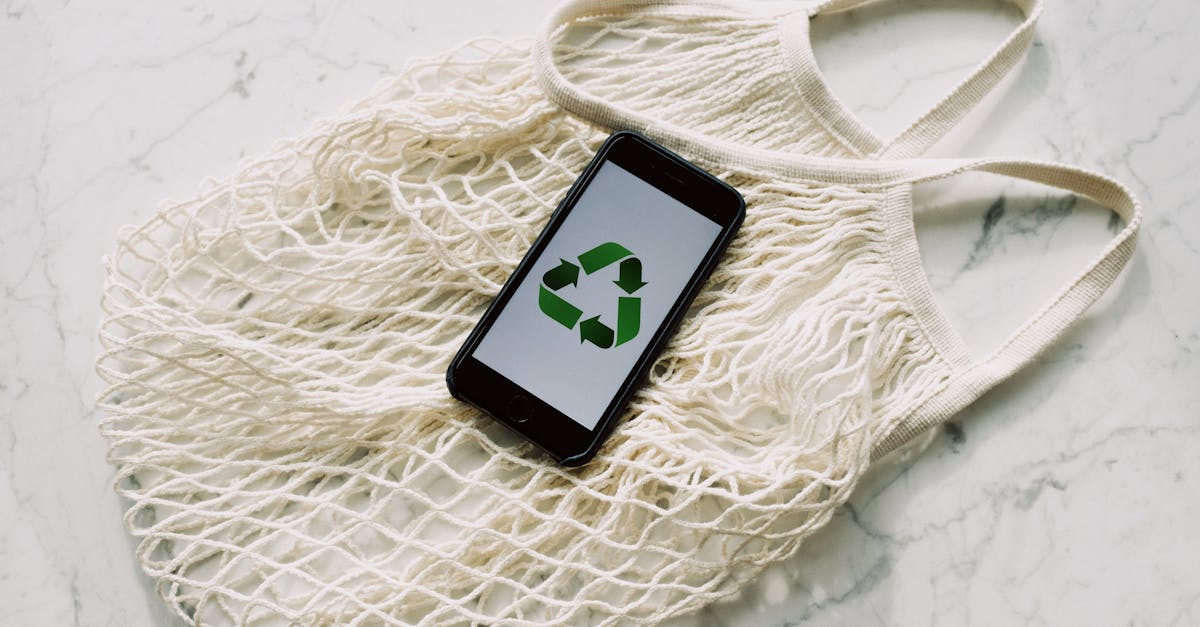 Comment sensibiliser les jeunes à l’écologie