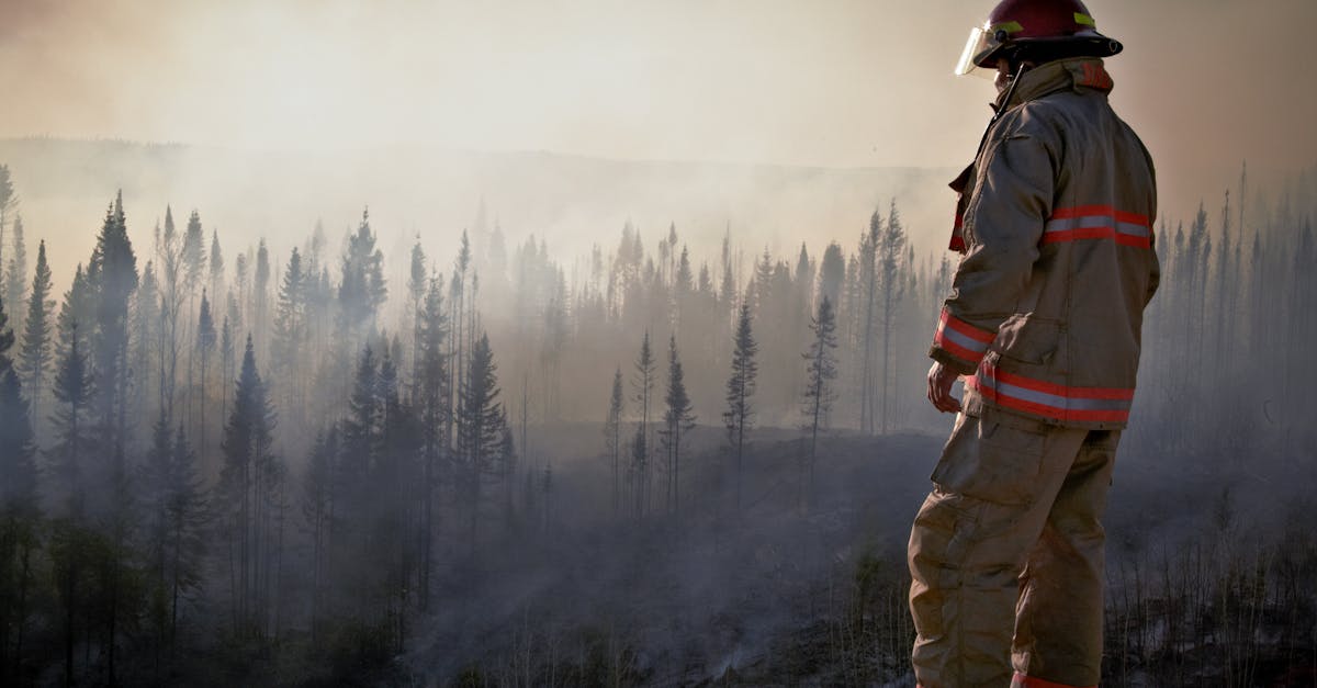 Les effets de la déforestation sur la planète