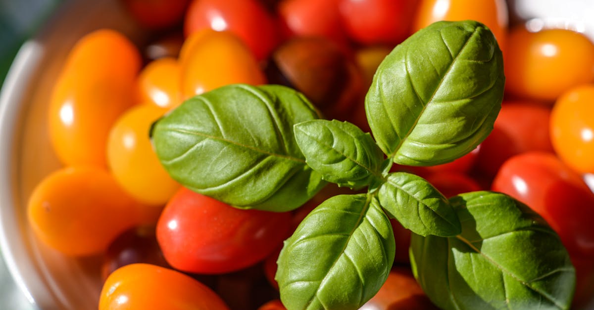 Les inventions culinaires qui favorisent la durabilité