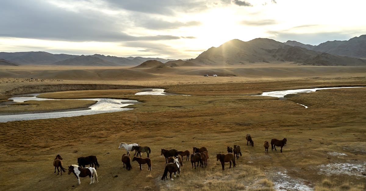 Les plus belles destinations pour la photographie de nature