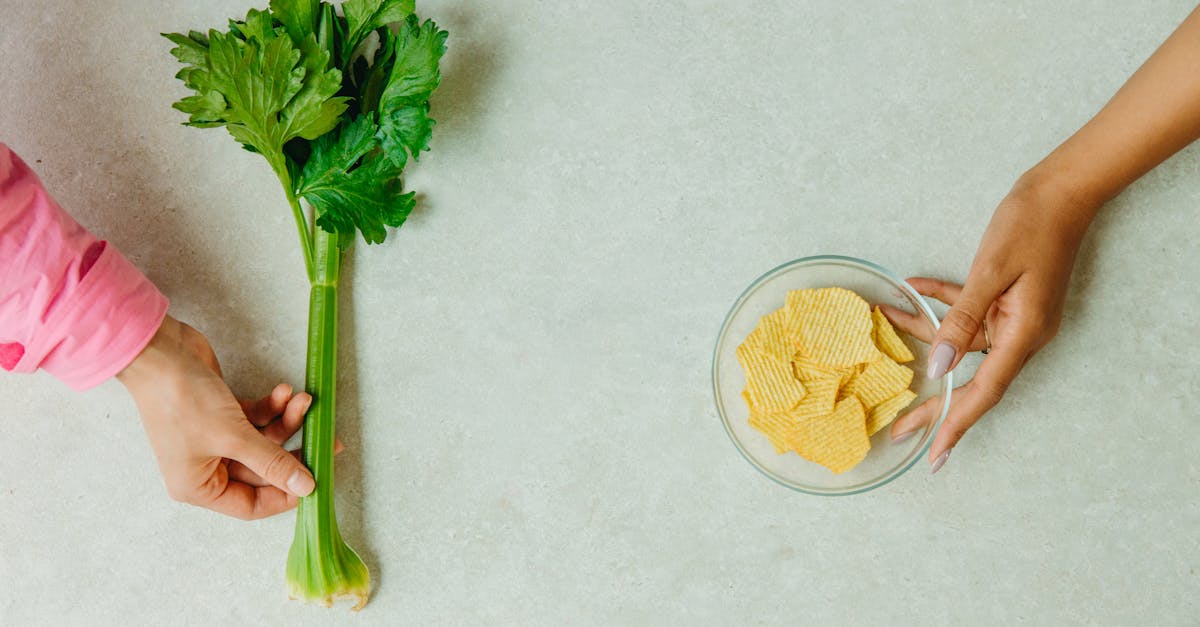 L’impact des choix alimentaires sur l’environnement