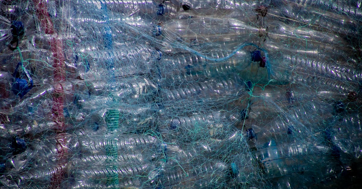 découvrez l'économie circulaire, un modèle durable qui optimise l'utilisation des ressources, réduit les déchets et favorise le recyclage. apprenez comment cette approche innovante transforme les entreprises et contribue à un avenir plus vert.