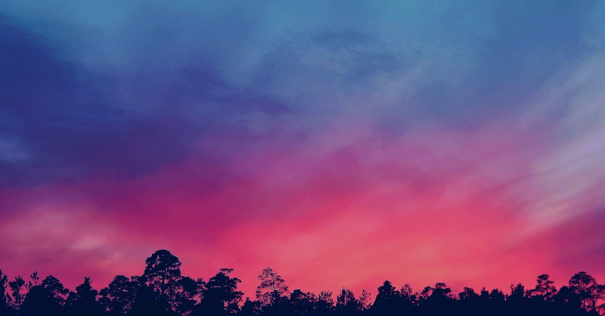 découvrez l'univers fascinant des couleurs ! apprenez comment les teintes influencent nos émotions, notre créativité et notre quotidien. explorez des conseils pratiques pour harmoniser les couleurs dans votre vie et votre décoration.