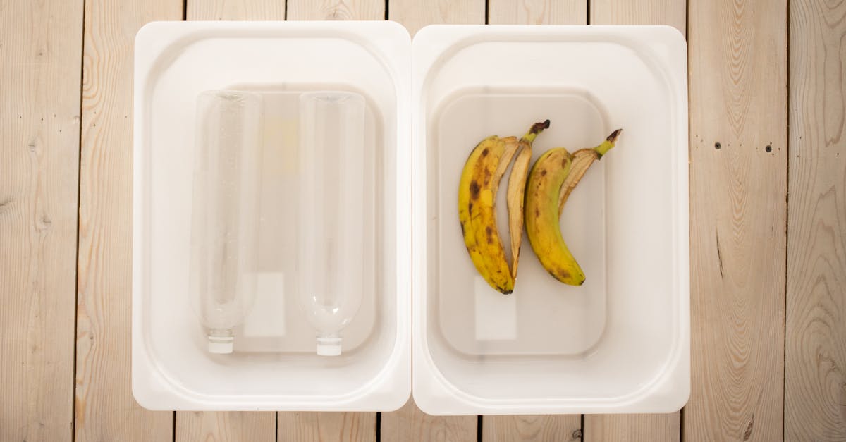 découvrez l'art du compostage : transformez vos déchets organiques en un précieux amendement naturel pour enrichir votre jardin. apprenez les techniques, les avantages environnementaux et comment débuter facilement, tout en contribuant à une vie plus durable.