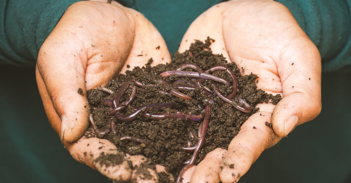 découvrez le compostage, une méthode écologique pour recycler vos déchets organiques et enrichir votre sol de manière naturelle. apprenez les techniques et astuces pour transformer vos déchets en compost de qualité, bénéfique pour votre jardin et l'environnement.