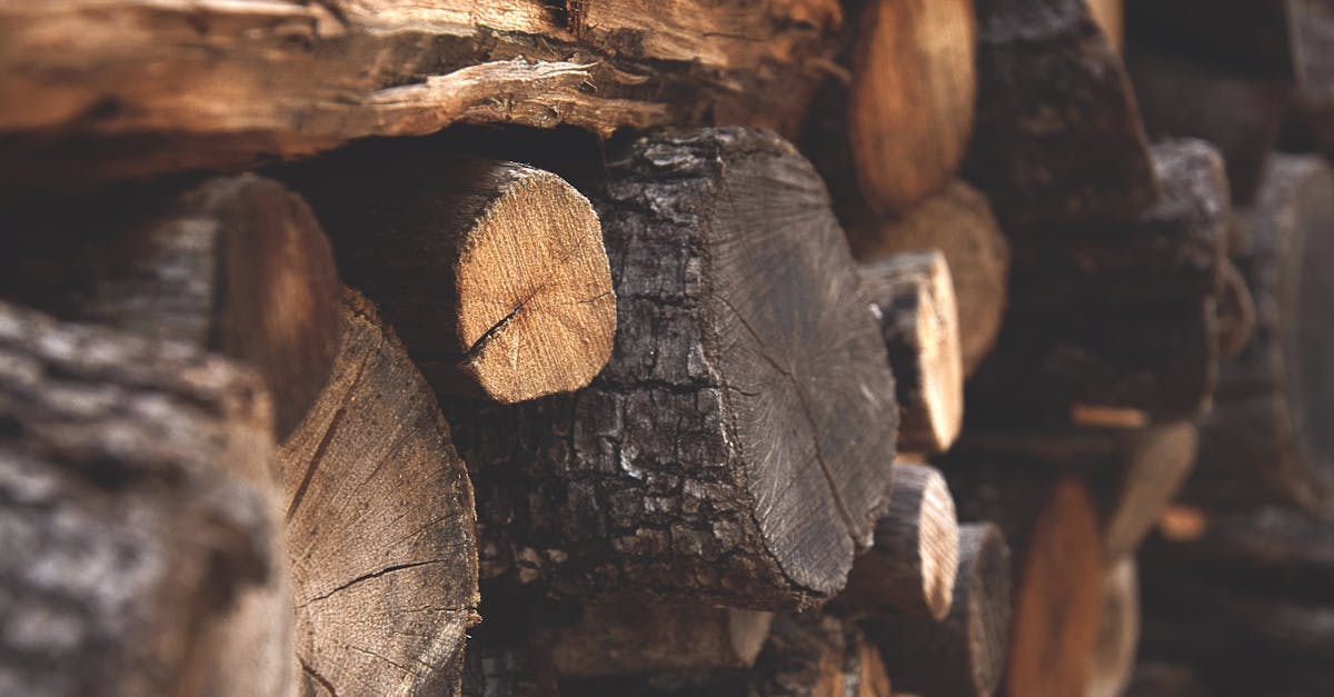 découvrez les enjeux de la déforestation, ses causes et ses conséquences sur l'environnement, la biodiversité et le climat. explorez des solutions pour préserver nos forêts et promouvoir une gestion durable des ressources naturelles.