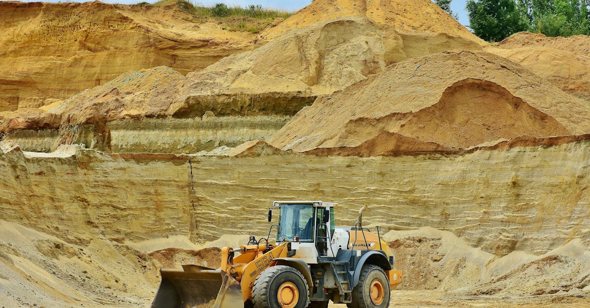 découvrez les enjeux de la déforestation : ses causes, ses conséquences sur l'environnement et les initiatives pour protéger nos forêts. engagez-vous pour un avenir durable !