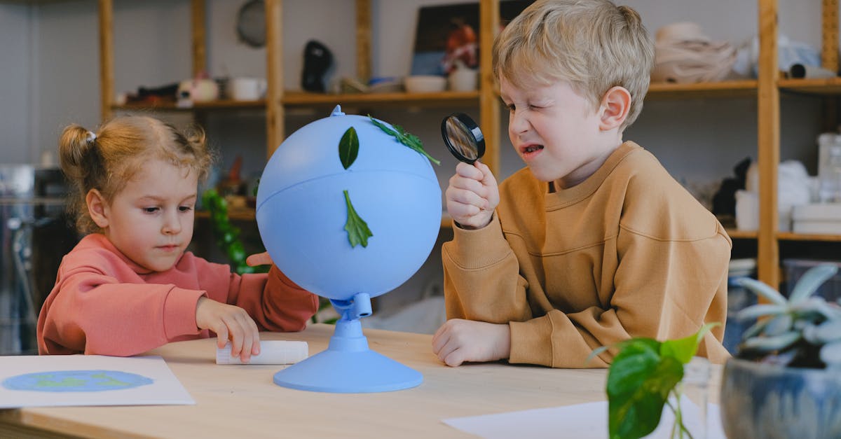 découvrez l'éducation environnementale : un outil essentiel pour sensibiliser les individus et les communautés aux enjeux écologiques. apprenez comment intégrer des pratiques durables et promouvoir la protection de notre planète pour les générations futures.