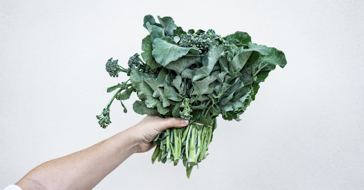 découvrez le mouvement 'farm-to-table', qui met en avant des aliments frais, locaux et de saison, tout en favorisant une connexion directe entre les agriculteurs et les consommateurs. profitez d'une expérience culinaire authentique et durable, où chaque plat raconte l'histoire de ses ingrédients.