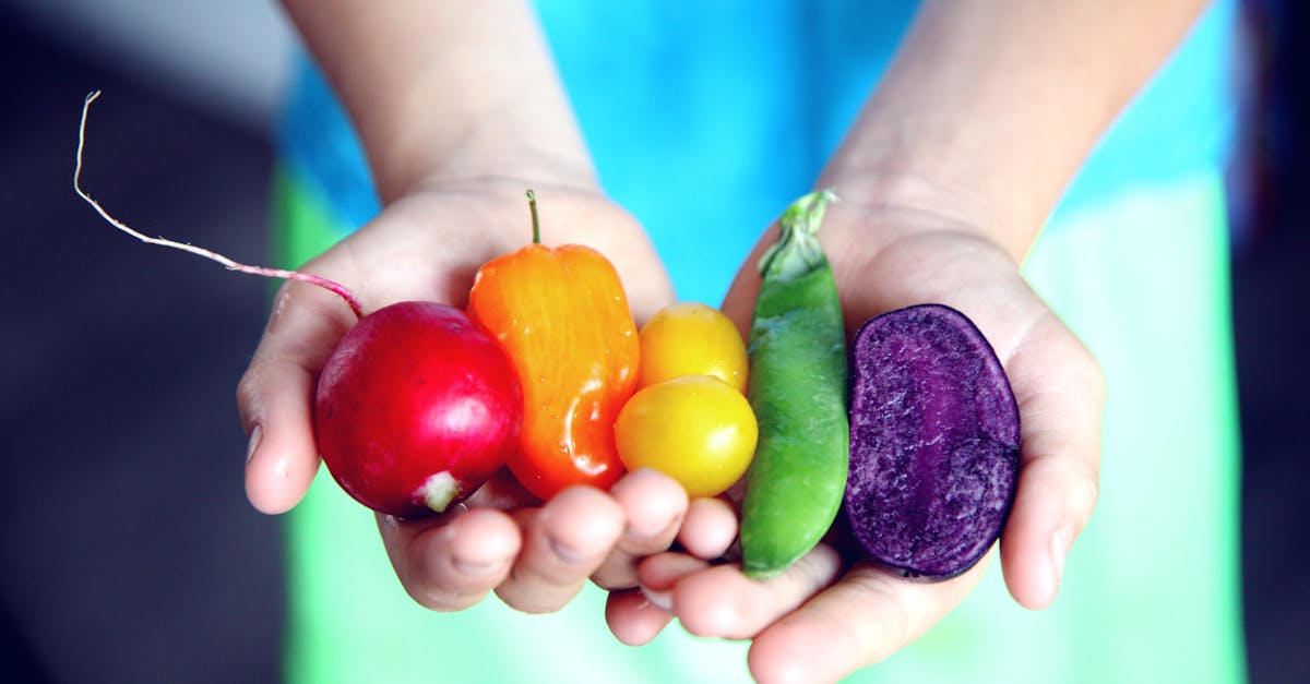 découvrez le concept 'farm-to-table' qui révolutionne notre façon de manger en reliant directement les agriculteurs aux consommateurs. profitez de la fraîcheur des produits locaux, soutenez l'agriculture durable et savourez des plats préparés avec des ingrédients de saison. une expérience culinaire authentique et responsable !