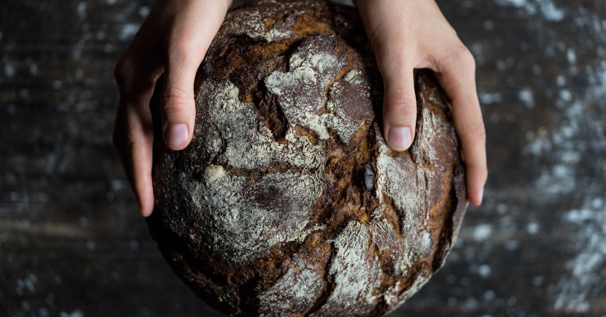 Comment la fermentation peut aider à la durabilité