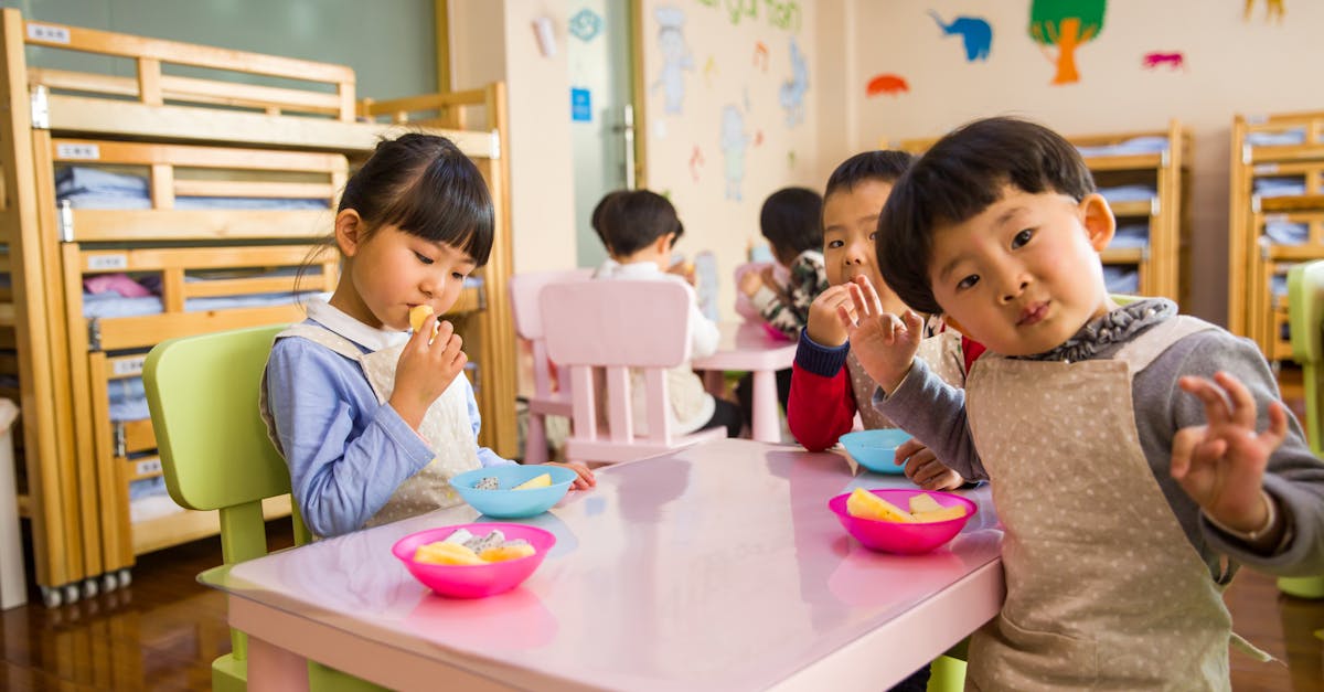 découvrez l'importance de l'éducation alimentaire pour une meilleure santé et des choix nutritionnels éclairés. apprenez à cuisiner, à choisir des aliments sains et à comprendre les enjeux de l'alimentation moderne.