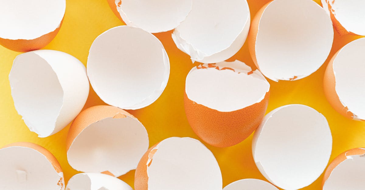 découvrez des stratégies efficaces pour réduire le gaspillage alimentaire. apprenez à adopter des pratiques durables qui vous permettront de diminuer vos déchets alimentaires tout en préservant l'environnement et en économisant de l'argent.