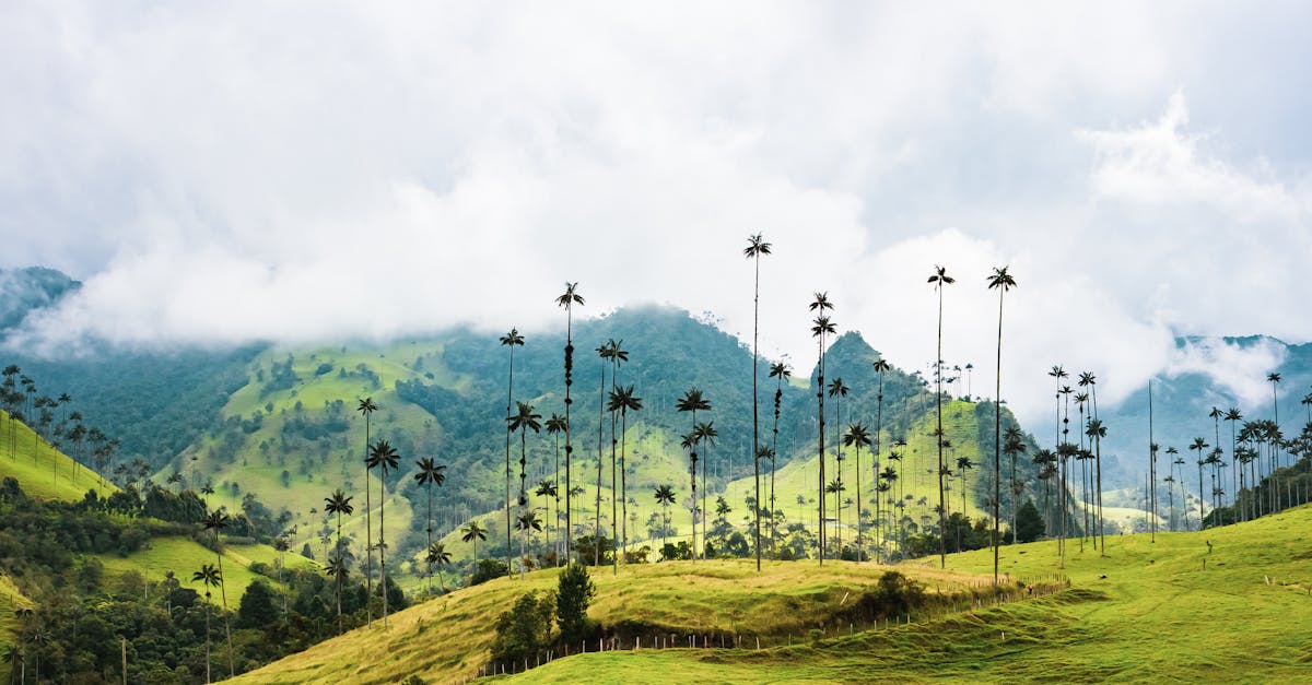 découvrez l'art de la photographie de paysage, une manière captivante de capturer la beauté du monde naturel. explorez des techniques, des conseils et des inspirations pour améliorer vos compétences et créer des images à couper le souffle.