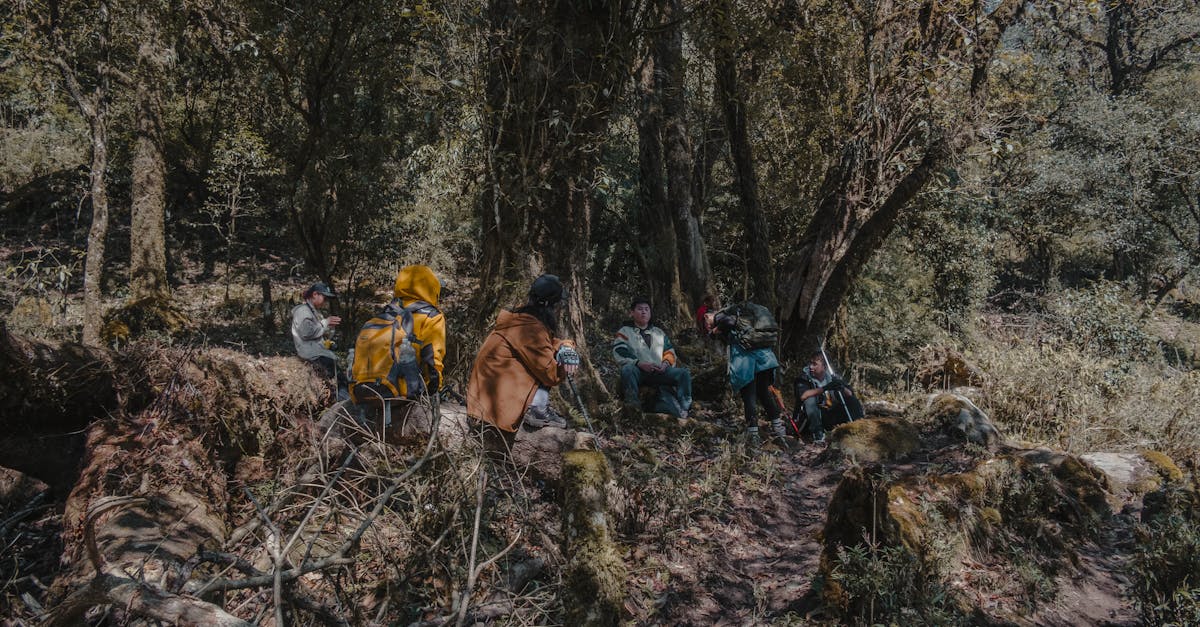 Les effets de la saison sur la photographie de paysage