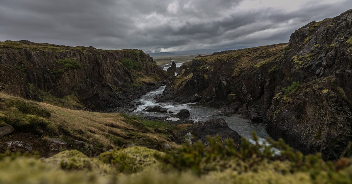 découvrez l'art de la photographie de paysage, où chaque image saisit la beauté de la nature. explorez des techniques, des astuces et des inspirations pour capturer des panoramas époustouflants et immortaliser des moments magiques en plein air.