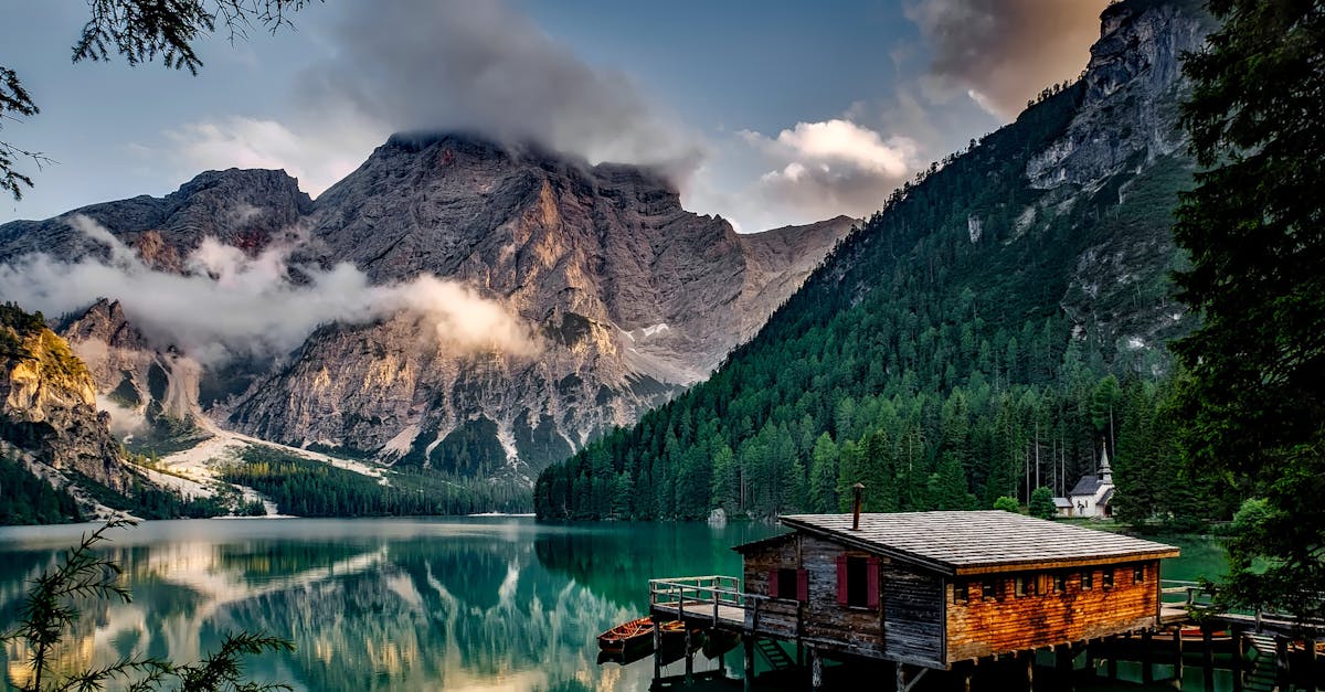 découvrez la beauté et la diversité de la nature à travers des paysages époustouflants, une faune fascinante et une flore luxuriante. explorez des expériences inoubliables en plein air et apprenez l'importance de préserver notre environnement.