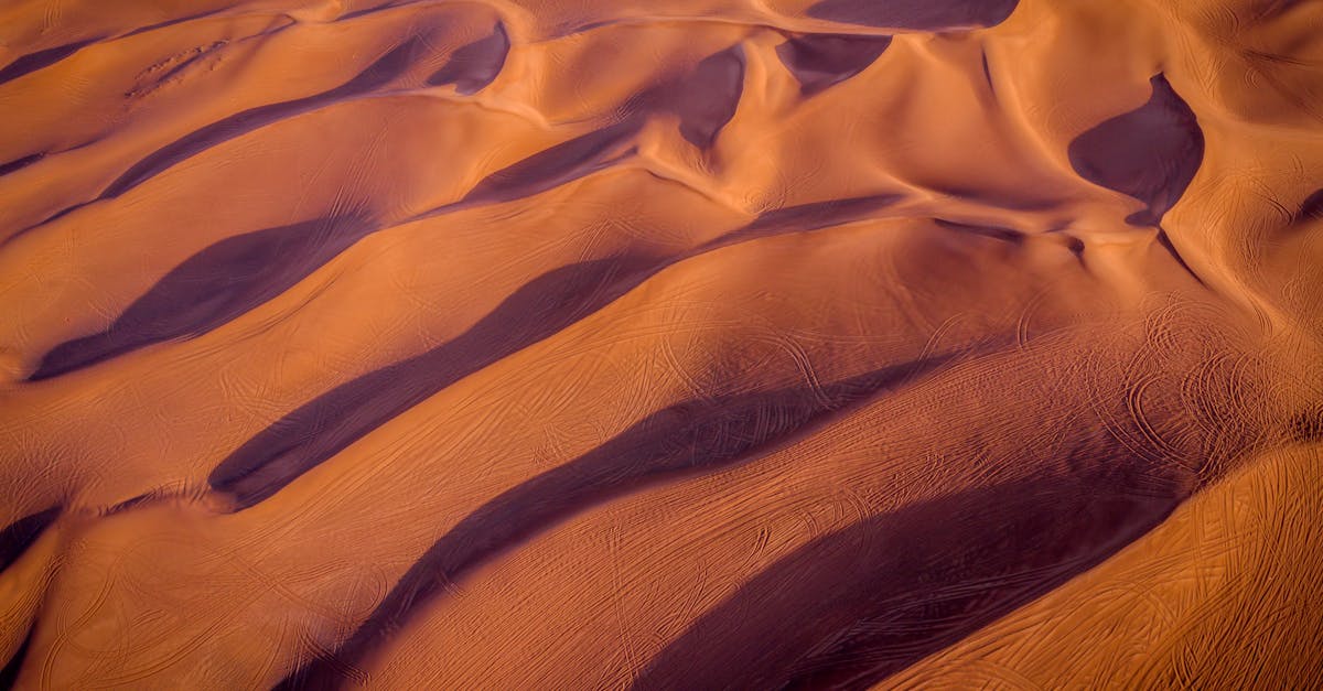Techniques de photographie de nature avec un smartphone