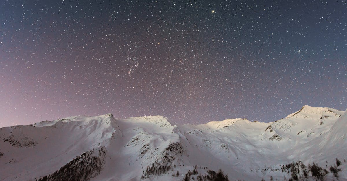 découvrez la beauté sauvage à travers la photographie de la nature. explorez des paysages à couper le souffle, des animaux majestueux et des scènes naturelles époustouflantes qui capturent la magie du monde extérieur.