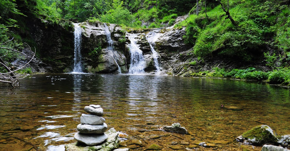 découvrez la beauté du monde naturel à travers la photographie. nos images saisissantes capturent la faune, la flore et les paysages époustouflants, vous invitant à explorer la nature comme jamais auparavant.