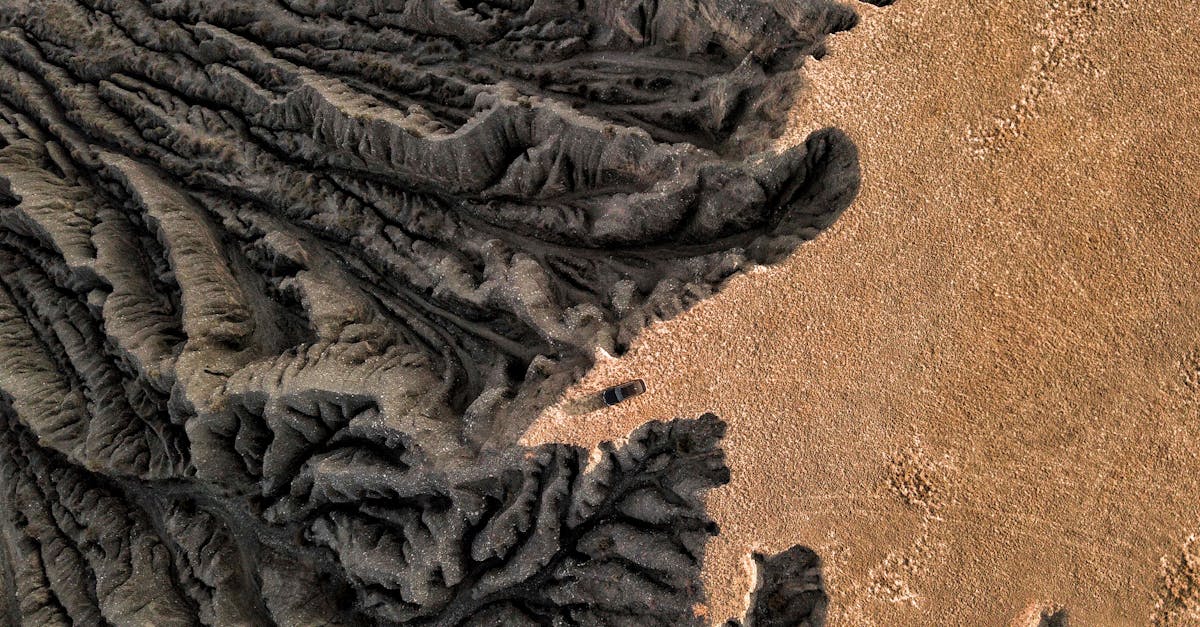 découvrez l'art de la photographie nature : des paysages époustouflants, une faune captivante et des moments de sérénité immortalisés à travers l'objectif. plongez dans un univers où chaque image raconte une histoire et où la beauté de la nature est célébrée.