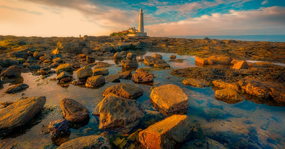 découvrez les meilleures destinations de photographie de nature à travers le monde. capturez des paysages époustouflants, la faune sauvage et des moments inoubliables dans des endroits préservés et majestueux. parfait pour les passionnés de photographie et les amoureux de la nature!