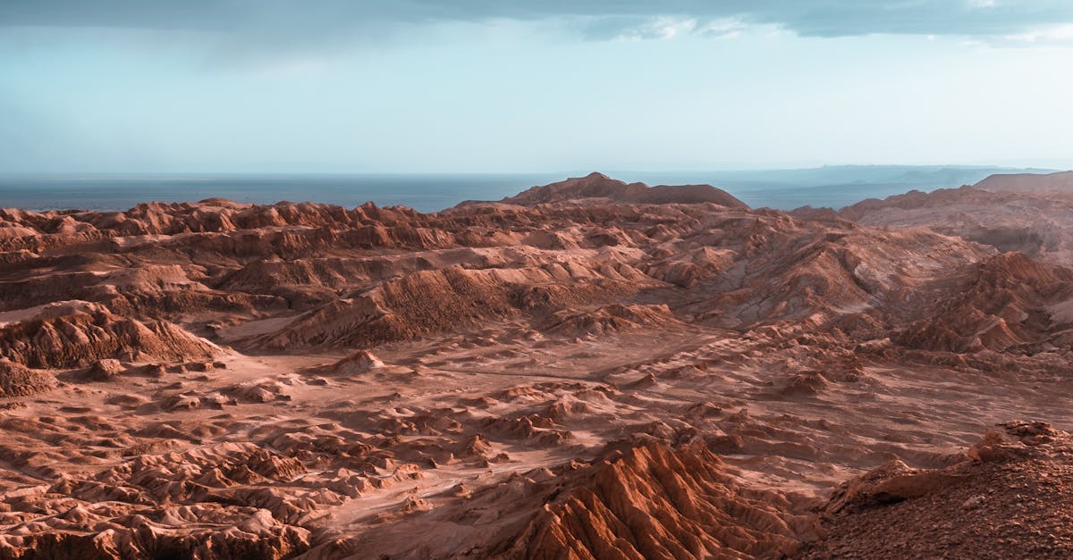 découvrez les meilleures destinations pour la photographie de nature qui émerveilleront les amoureux de la faune et des paysages. des montagnes majestueuses aux forêts verdoyantes, explorez des lieux enchanteurs pour capturer des moments inoubliables en pleine nature.