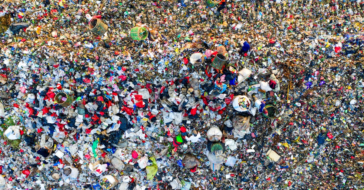 découvrez les enjeux de la surconsommation dans notre société moderne. analyse des conséquences environnementales et sociales, ainsi que des solutions pour adopter un mode de consommation plus durable.