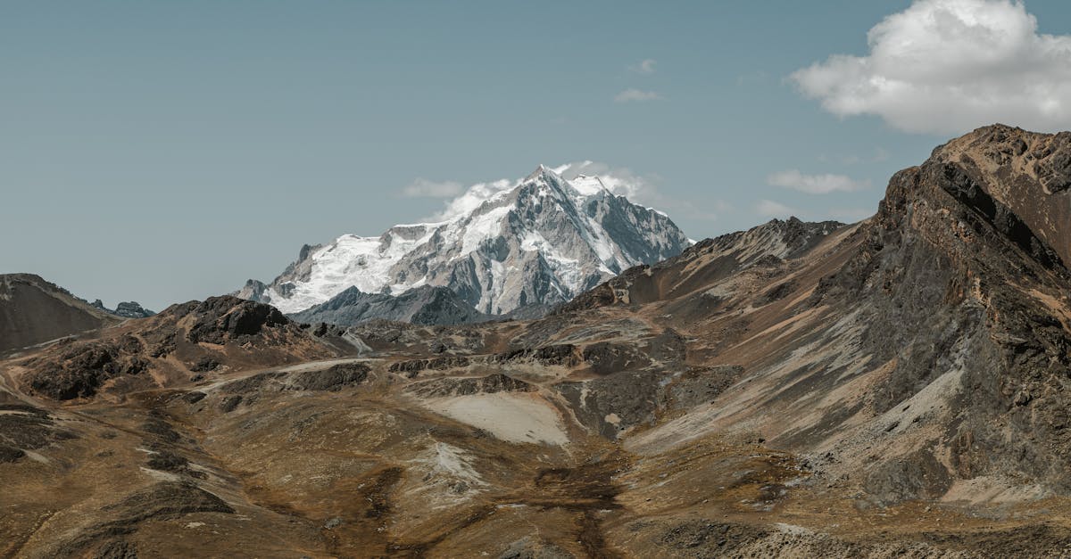 découvrez des expéditions photographiques inoubliables à travers des paysages époustouflants et une faune fascinante. capturez des moments exceptionnels et perfectionnez vos compétences en photographie dans des destinations uniques.
