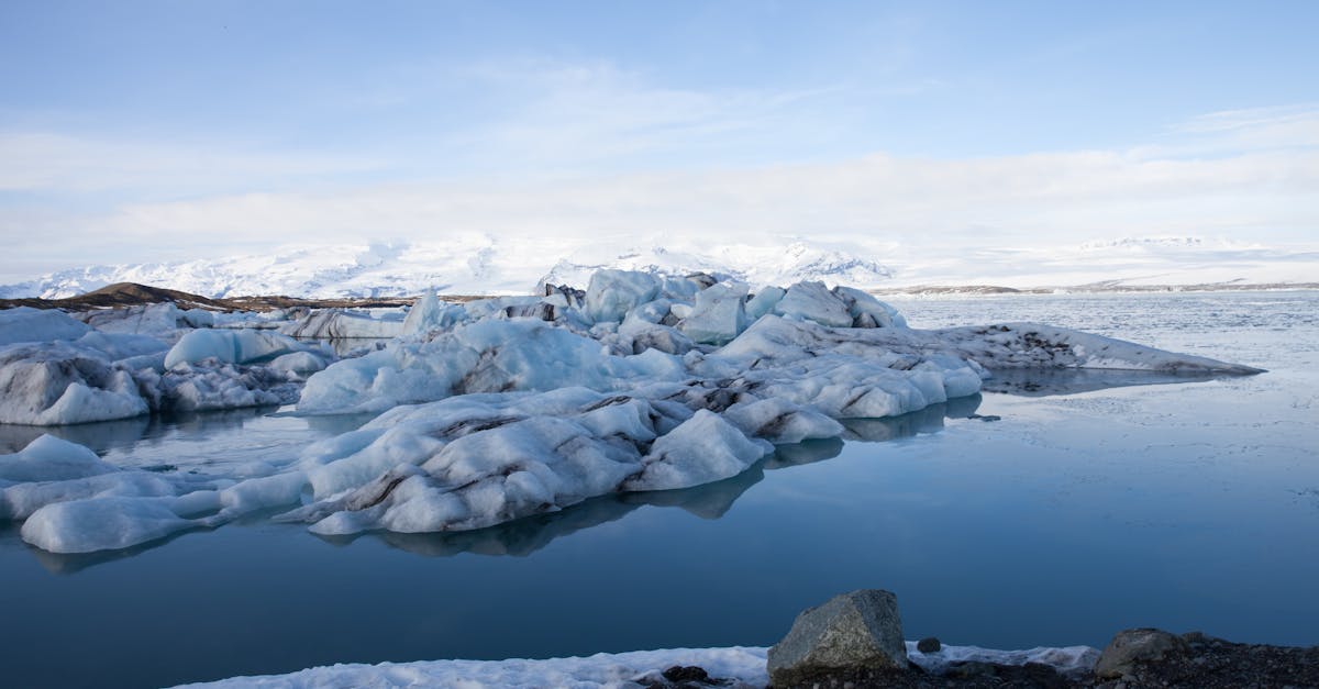 découvrez des expéditions photographiques uniques qui vous plongeront au cœur de paysages à couper le souffle. partez à l'aventure et capturez des moments inoubliables tout en perfectionnant vos compétences en photographie.