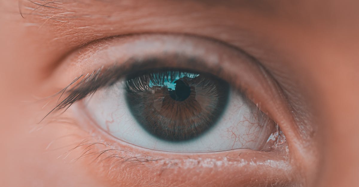 découvrez le monde fascinant à travers un objectif avec 'photographic eye'. explorez des conseils, des techniques et de l'inspiration pour améliorer votre art de la photographie et capturer des moments inoubliables.