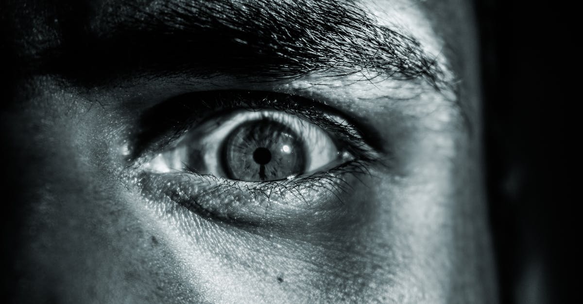 découvrez le monde à travers l'objectif d'un œil photographique. explorez des techniques, des astuces et une inspiration visuelle pour capturer la beauté de chaque instant et perfectionner votre art de la photographie.