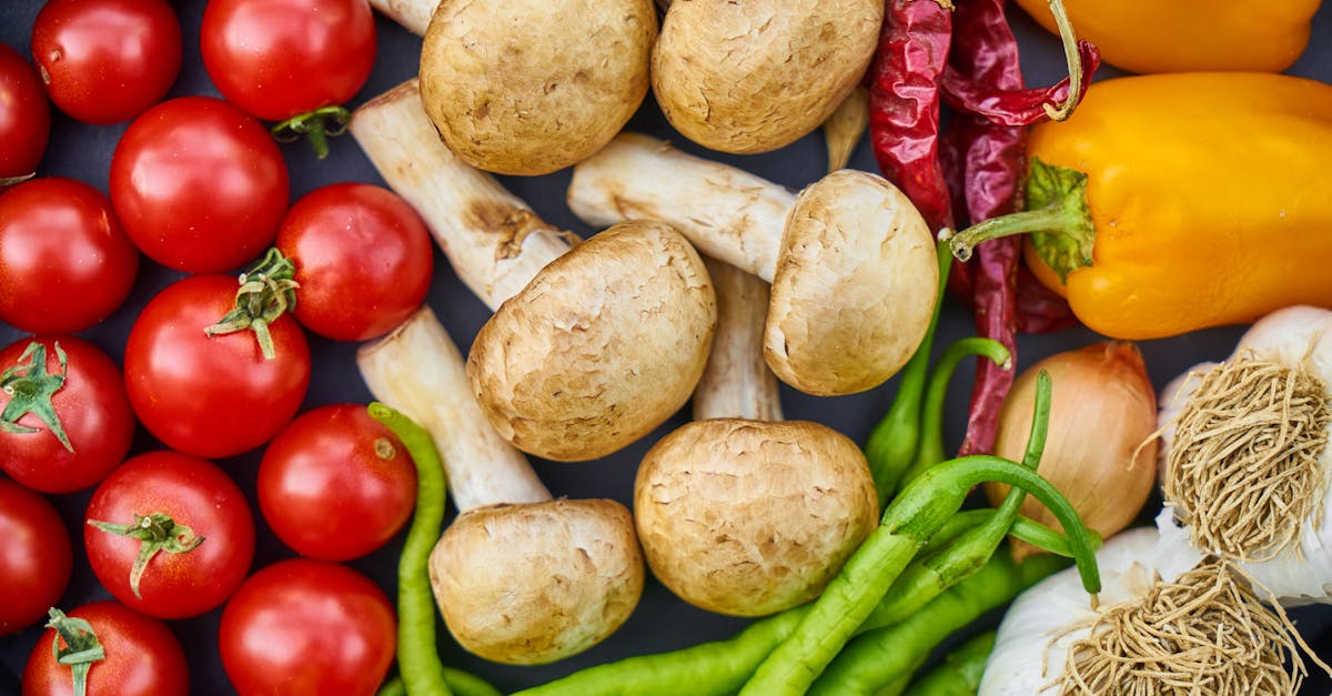 découvrez les superfoods : des aliments puissants et nutritifs qui boostent votre santé et votre bien-être. apprenez à les intégrer dans votre alimentation quotidienne pour maximiser votre énergie et vitalité.