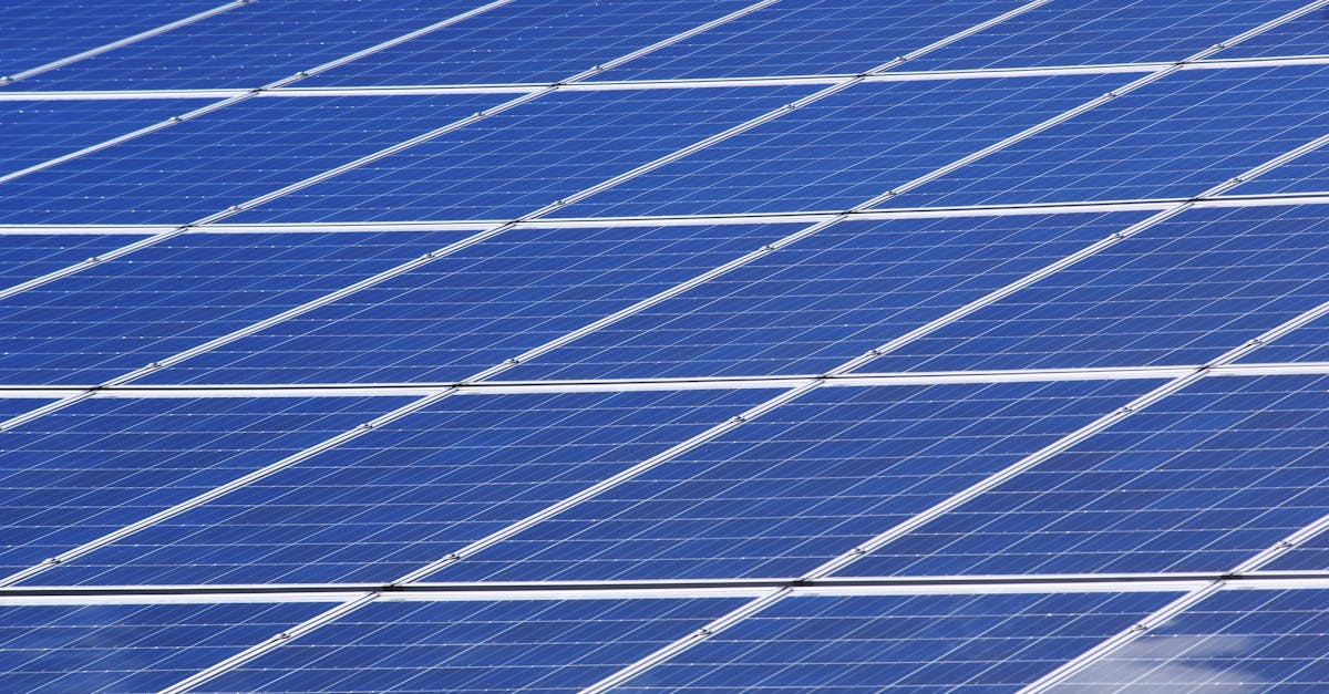 découvrez les enjeux et les pratiques de la durabilité, une approche essentielle pour préserver notre planète et garantir un avenir responsable. explorez des solutions innovantes et des conseils pratiques pour adopter un mode de vie plus durable.