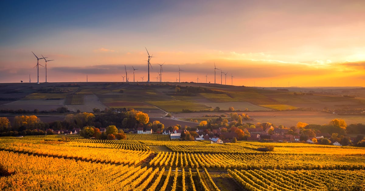 découvrez l'importance de la durabilité dans notre société moderne. explorez des solutions innovantes pour un avenir plus écologique, des pratiques responsables et des initiatives visant à protéger notre planète pour les générations futures.