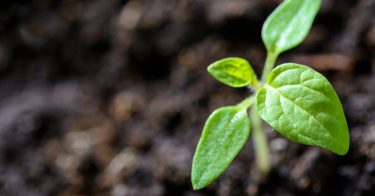 découvrez les enjeux de la durabilité et des pratiques durables pour préserver notre planète. apprenez comment intégrer des solutions écologiques dans votre quotidien et contribuer à un avenir plus respectueux de l'environnement.