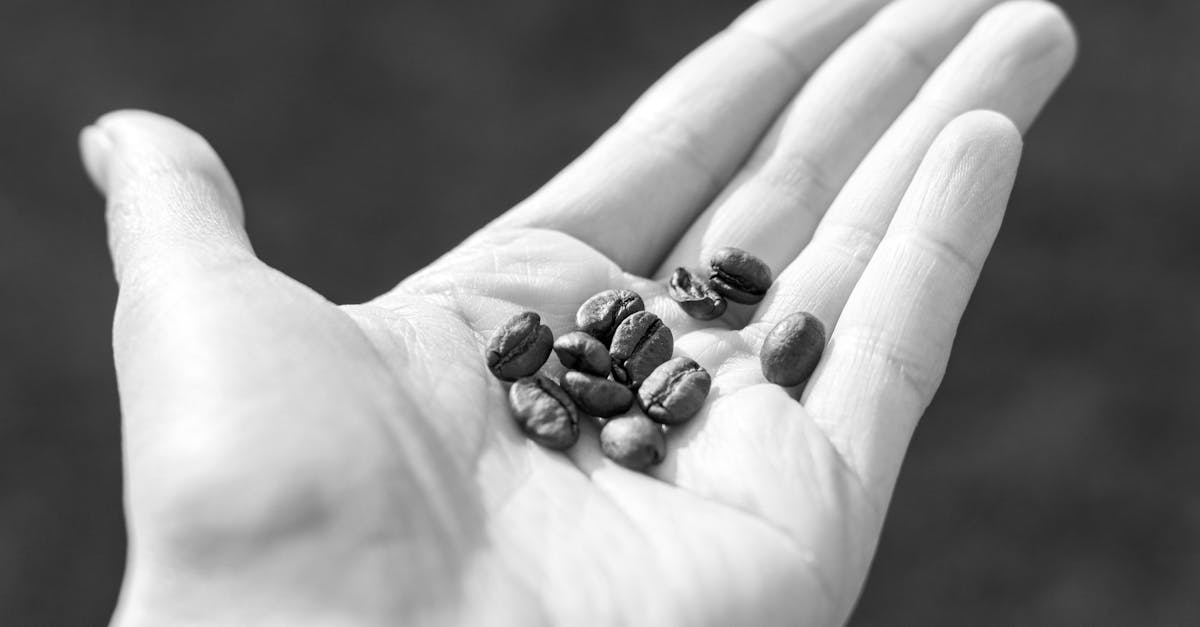 découvrez l'importance de la consommation durable pour préserver notre planète. apprenez comment adopter des pratiques écoresponsables dans votre quotidien et contribuer à un avenir meilleur pour les générations futures.