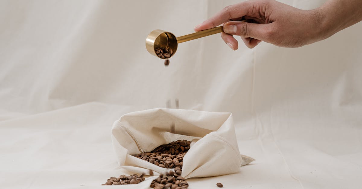 découvrez la cuisine durable : des recettes savoureuses et écoresponsables qui préservent notre planète tout en régalant vos papilles. apprenez à cuisiner de manière responsable avec des ingrédients locaux et de saison.