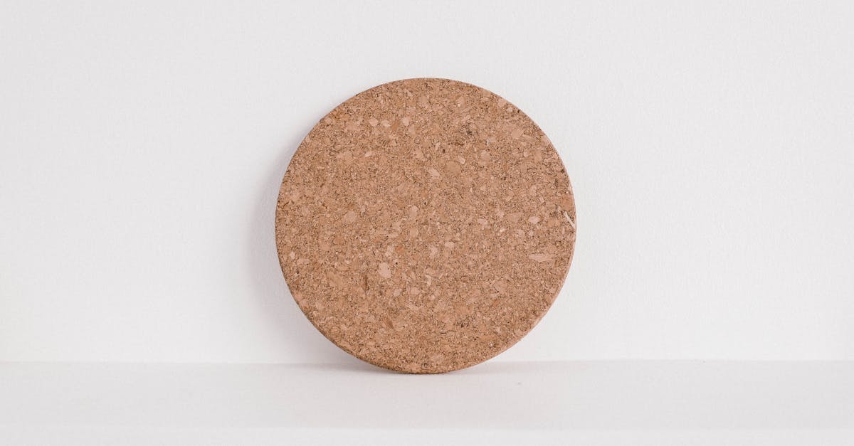 découvrez la cuisine durable : un art culinaire qui allie saveurs authentiques et respect de l'environnement. explorez des recettes saines, des ingrédients biologiques et des pratiques écoresponsables pour un repas savoureux et éthique.