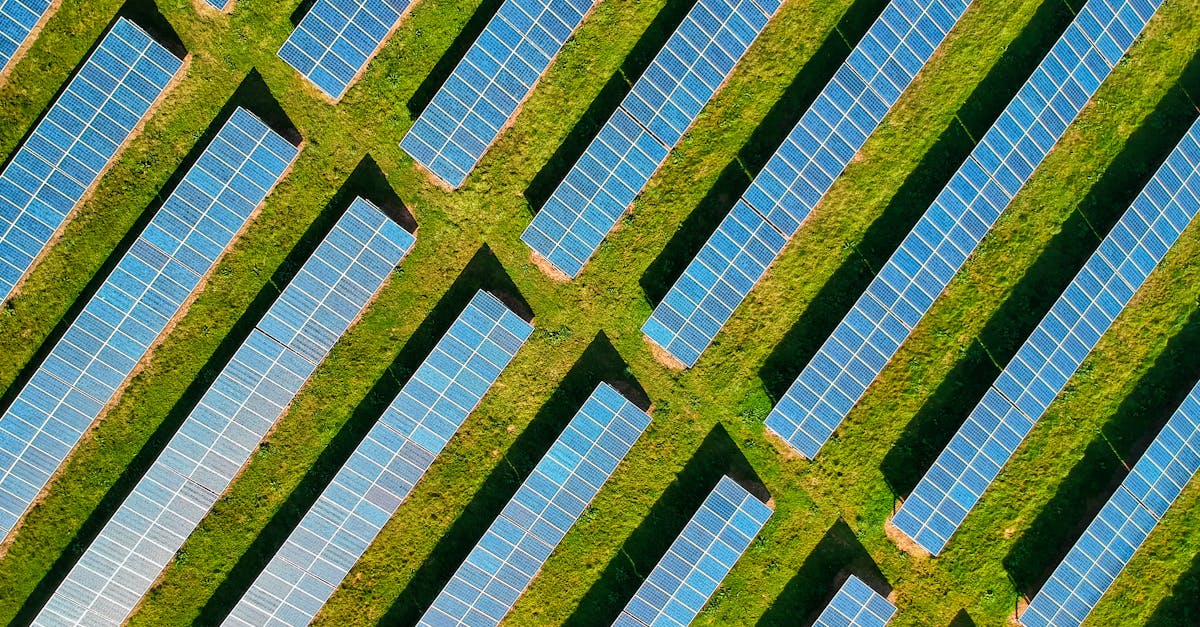 découvrez les solutions d'énergie durable pour un avenir respectueux de l'environnement. apprenez comment les énergies renouvelables, telles que le solaire et l'éolien, transforment notre manière de produire et de consommer l'énergie tout en préservant notre planète.